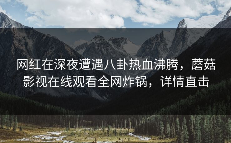 网红在深夜遭遇八卦热血沸腾，蘑菇影视在线观看全网炸锅，详情直击