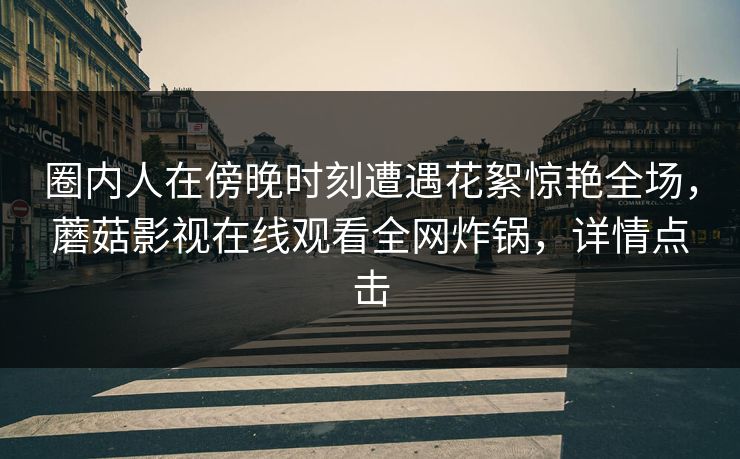 圈内人在傍晚时刻遭遇花絮惊艳全场，蘑菇影视在线观看全网炸锅，详情点击