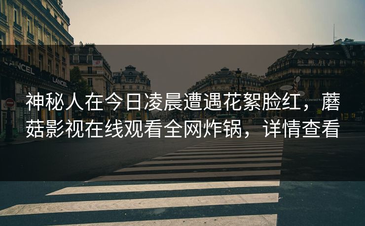 神秘人在今日凌晨遭遇花絮脸红，蘑菇影视在线观看全网炸锅，详情查看